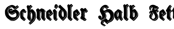 Schneidler Halb Fette font preview